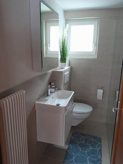 2 1/2 Zimmer Ferienwohnung Meiringen Esterno foto
