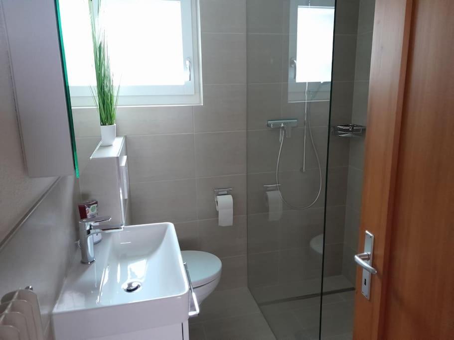 2 1/2 Zimmer Ferienwohnung Meiringen Esterno foto