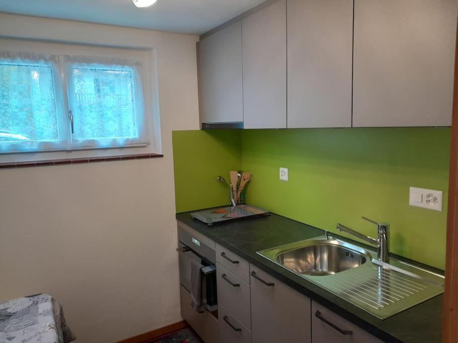 2 1/2 Zimmer Ferienwohnung Meiringen Esterno foto