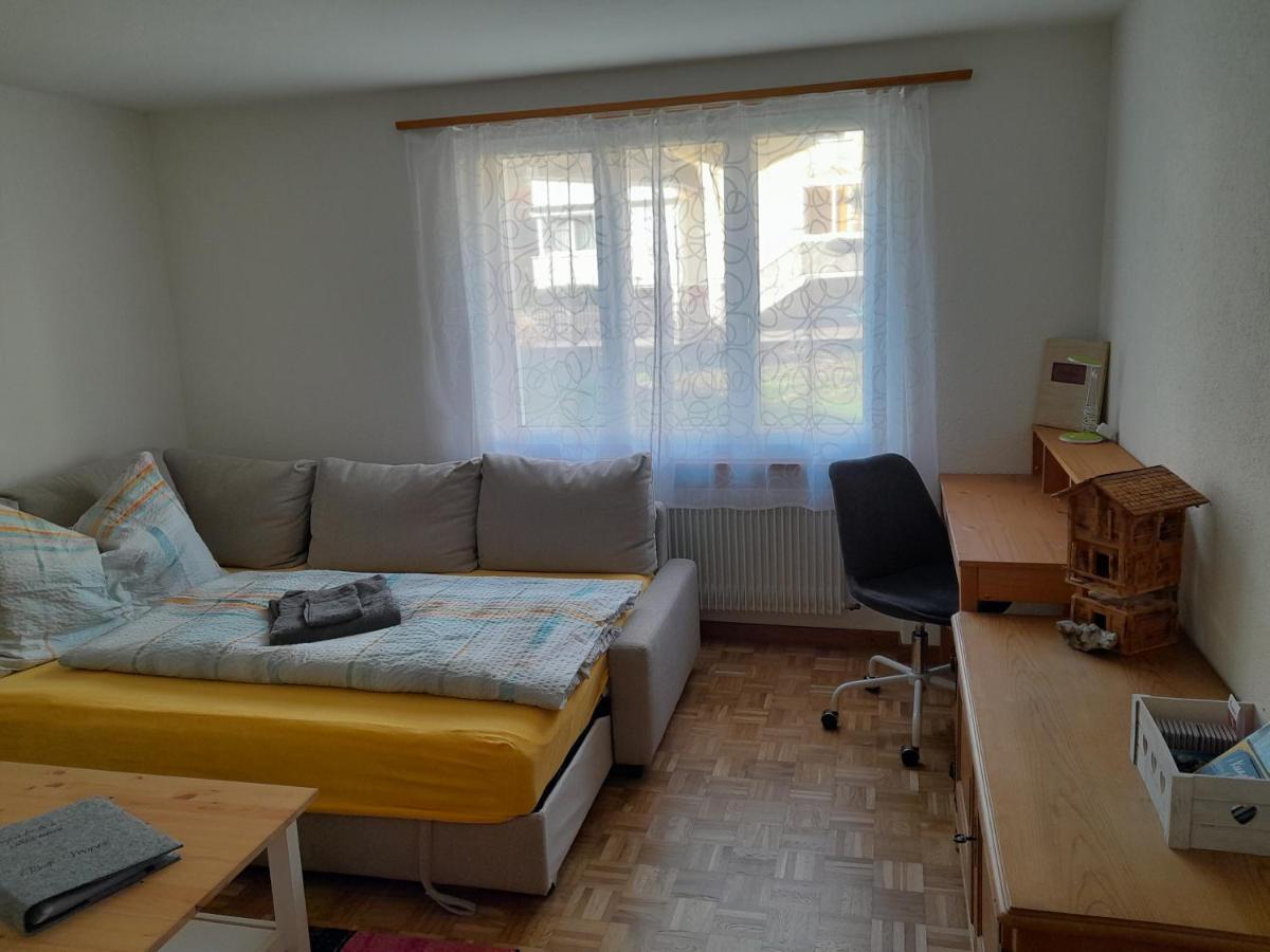 2 1/2 Zimmer Ferienwohnung Meiringen Esterno foto
